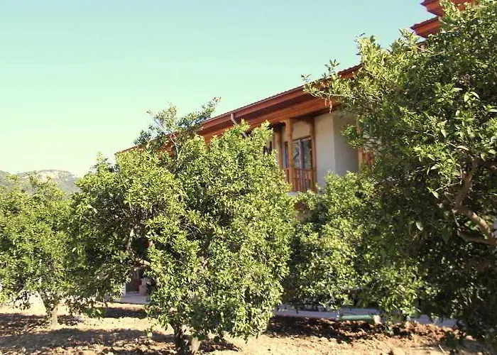 호텔 케르메 오토만 고코바